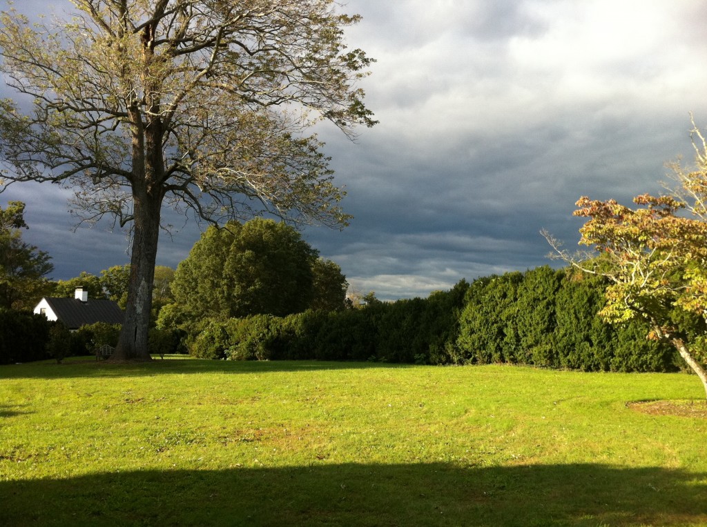 Photo Gallery A Gardener’s Delight