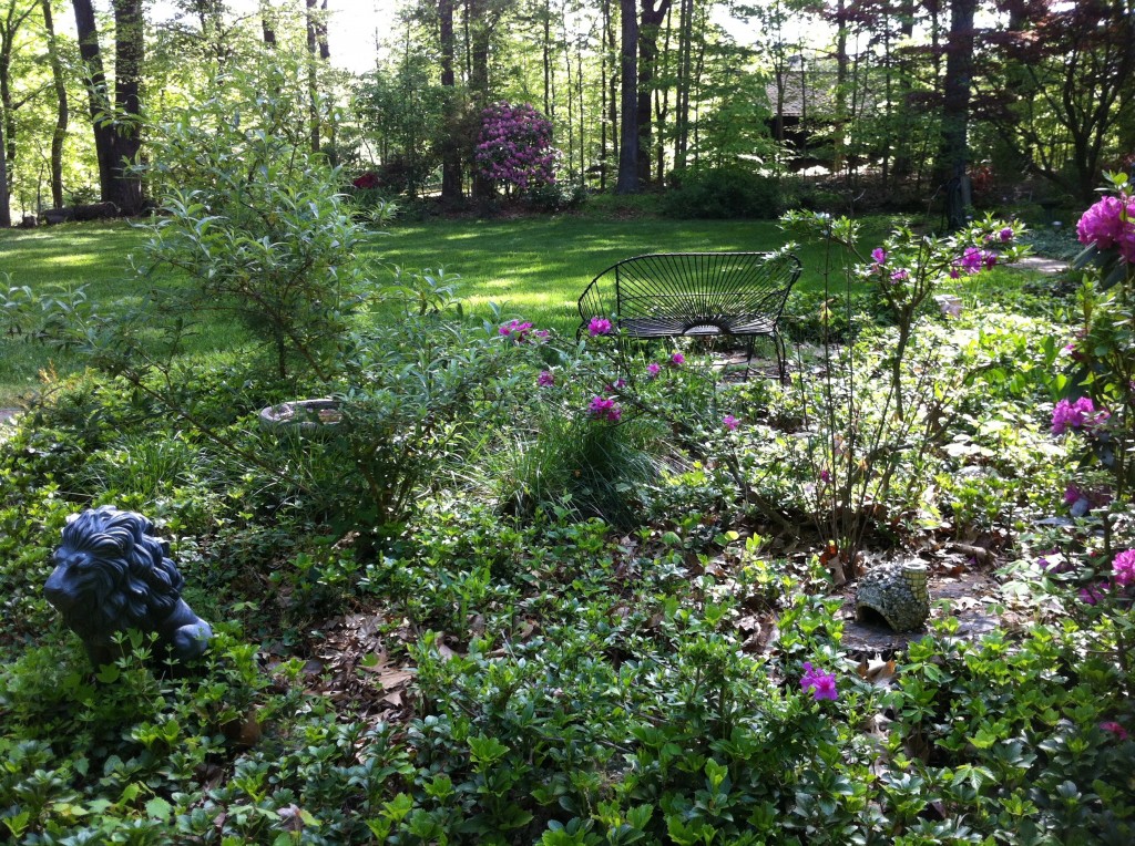 About A Gardener’s Delight