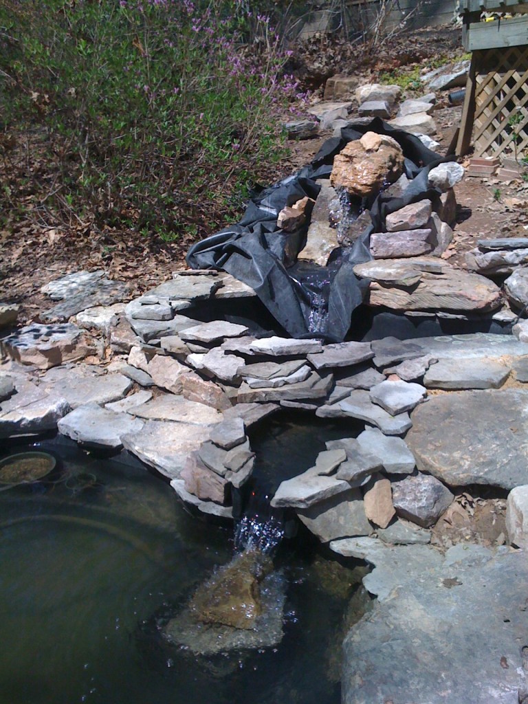 How to Build a Pond The Ponds Project A Gardener's Delight