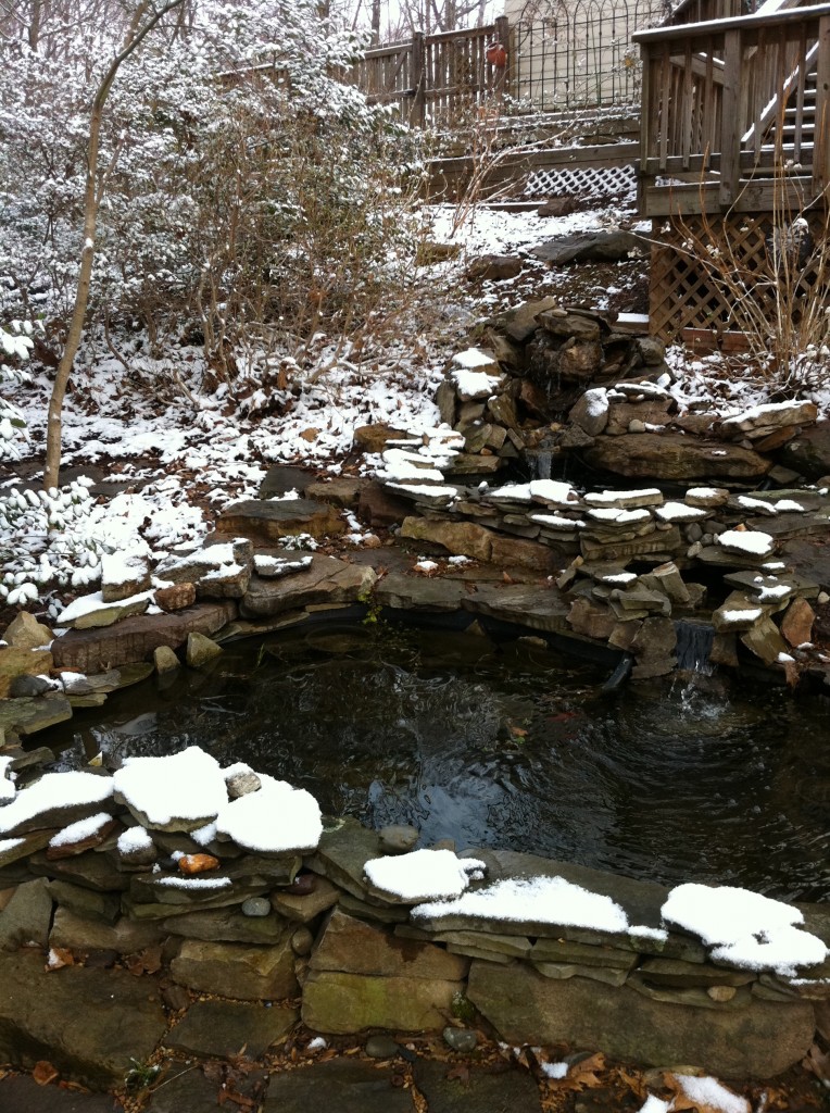 Winterizing Your Pond! A Gardener’s Delight
