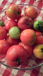 Part of my tomato harvest (Photo Credit: Adroit Ideals)