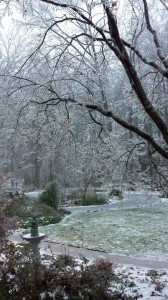 Tree branches covered in ice during an ice storm (Photo Credit: Adroit Ideals)