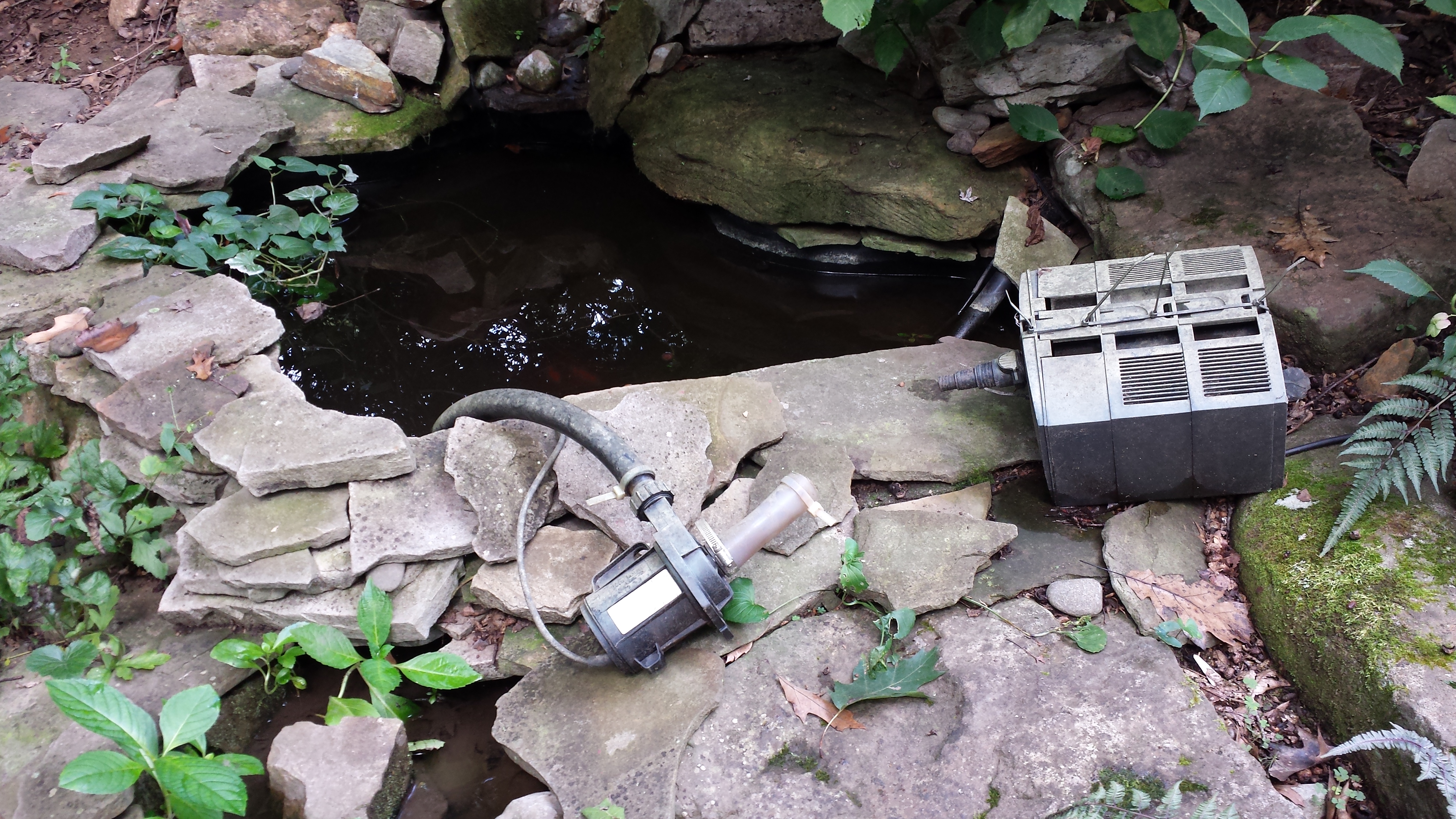 Removed the filter and pump from the pond to try to determine where the leak was located