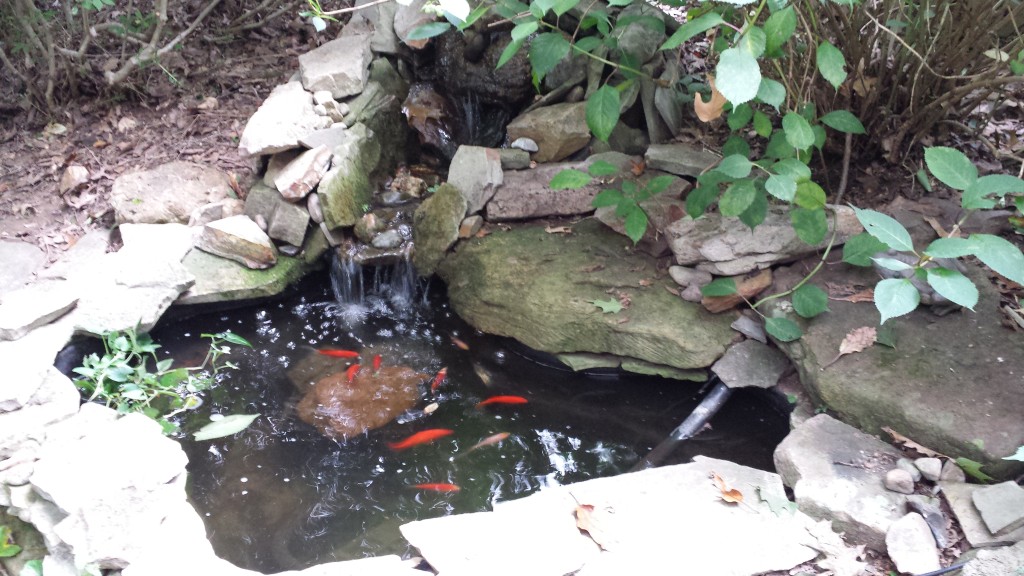 How to Repair a Pond Leak A Gardener's Delight