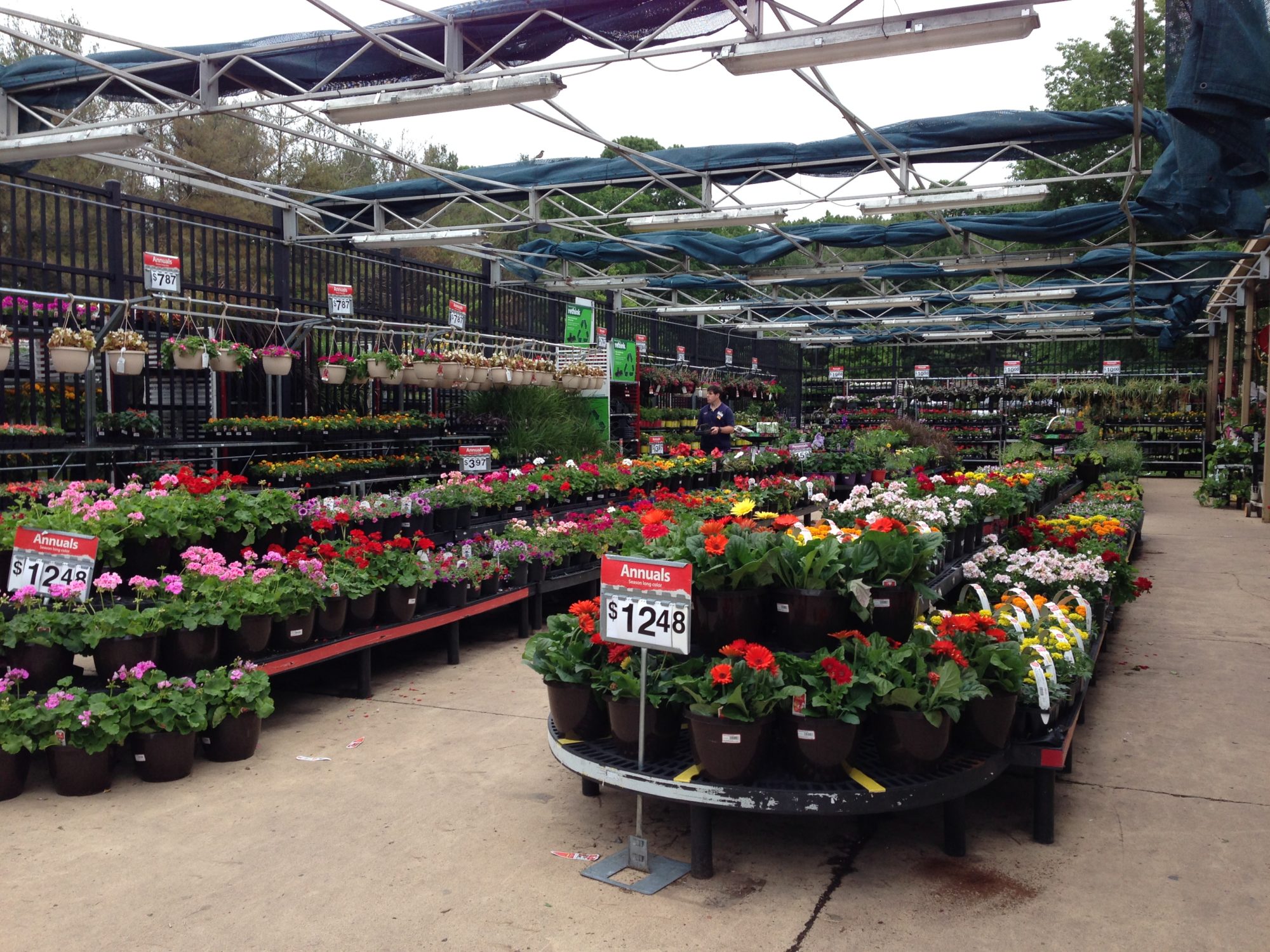 Garden Center vs Big Box Store Landscaping A Gardener's Delight