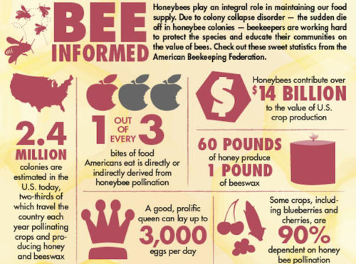 honey bees are beneficial
