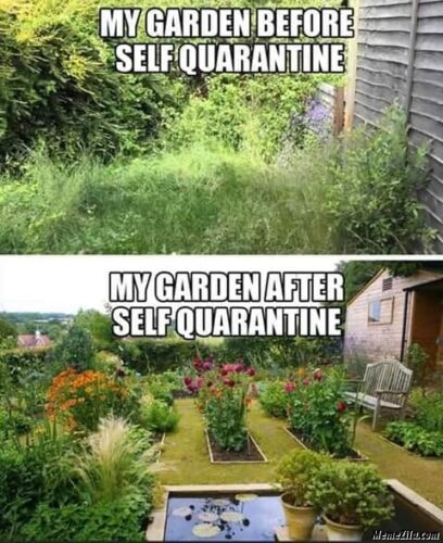 Garden Meme 2020